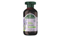 antica erb shampoo lavanda 250ml